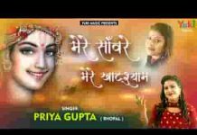 मेरे सांवरे मेरे खाटू श्याम भजन लिरिक्स