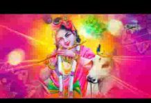 वो नाव नहीं डूबेगी जो चलती है श्याम सहारे भजन लिरिक्स