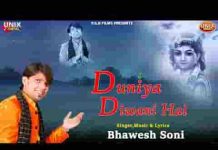इनकी दुनिया दीवानी है बस अर्जी से बनती कहानी है लिरिक्स
