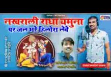 नखराली राधा यमुना पे जल भरे हिलोला लेय