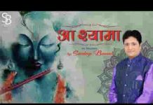 मेरे श्याम आज तुझको जी भर के देखना है भजन लिरिक्स मेरे श्याम आज तुझको जी भर के देखना है भजन लिरिक्स
