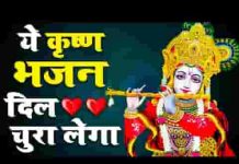 यार मेरा है श्याम धणी किसी और की अब दरकार नहीं लिरिक्स