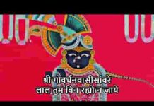 श्री गोवर्धन वासी सांवरे लाल तुम बिन रहयो ना जाय लिरिक्स श्री गोवर्धन वासी सांवरे लाल तुम बिन रहयो ना जाय लिरिक्स