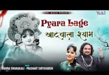 बड़ा ही प्यारा लागे खाटू वाला श्याम महिमा बड़ी निराली है