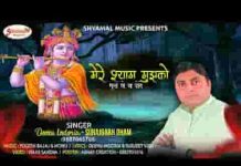 मेरे श्याम मुझको भुला तो ना दोगे भजन लिरिक्स