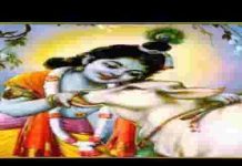 जल्दी आवजा म्हारा श्यामधणी थारा भक्त बुलावे रे जल्दी आवजा म्हारा श्यामधणी थारा भक्त बुलावे रे