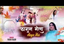 फागण मेला आया है उड़े रंग गुलाल भजन लिरिक्स