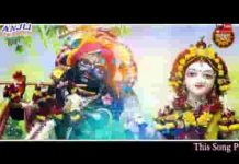 सुनो सांवरे दिल मेरा क्या खुशियों का हकदार नहीं लिरिक्स