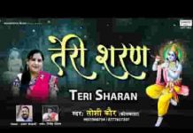 तेरी शरण हम आ गए बाबा कृपा करो भजन लिरिक्स तेरी शरण हम आ गए बाबा कृपा करो भजन लिरिक्स