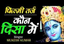 तेरे ही भरोसे नैया छोड़ी रे कन्हैया भजन लिरिक्स