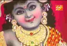 श्याम तेरे मुखड़े को जिसने निहारा भजन लिरिक्स