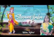 श्याम बाबा हारा हूँ मैं संसार से भजन लिरिक्स