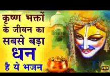 तुम मेरे जीवन के धन हो और प्राणाधार हो भजन लिरिक्स तुम मेरे जीवन के धन हो और प्राणाधार हो भजन लिरिक्स