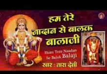 हम तेरे नादान से बालक तुम दया के सागर हो लिरिक्स