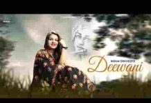 दीवानी मैं तो तेरी हो गयी श्याम भजन लिरिक्स दीवानी मैं तो तेरी हो गयी श्याम भजन लिरिक्स