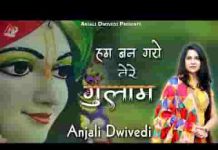 हम बन गए तेरे गुलाम ओ खाटू वाले भजन लिरिक्स