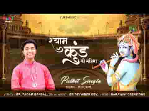 श्याम कुंड की महिमा का किन शब्दों में गुणगान करे लिरिक्स