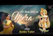 आओ आओ मेरे श्याम सरकार तेरे सिवा कोई ना मेरा लिरिक्स आओ आओ मेरे श्याम सरकार तेरे सिवा कोई ना मेरा लिरिक्स