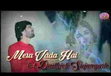 तेरे दरबार मैं आऊंगा मेरा वादा है भजन लिरिक्स तेरे दरबार मैं आऊंगा मेरा वादा है भजन लिरिक्स