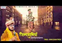 दे दो सहारा श्याम मैं जग से हारा भजन लिरिक्स