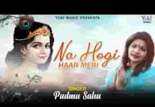 ना होगी हार मेरी हिंदी भजन लिरिक्स