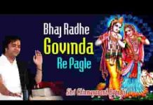 भज राधे गोविंदा रे पगले भज राधे गोविंदा रे लिरिक्स
