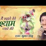 मैं सहारे तेरे श्याम प्यारे मेरे भजन लिरिक्स