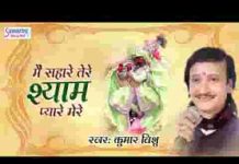 मैं सहारे तेरे श्याम प्यारे मेरे भजन लिरिक्स मैं सहारे तेरे श्याम प्यारे मेरे भजन लिरिक्स