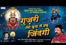 गुजरी तेरी कृपा से प्रभु जिंदगी भजन लिरिक्स