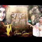 सलोने श्याम को जब देखूं दुनिया भूल जाती हूँ भजन लिरिक्स