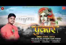 अर्ज लगाऊं मैं सुनते नहीं क्यों मेरी श्याम भजन लिरिक्स