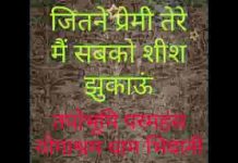 जितने प्रेमी तेरे मैं सबको शीश झुकाऊँ लिरिक्स