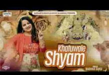 खाटू वाले श्याम तेरे नाम से गुजारा है लिरिक्स खाटू वाले श्याम तेरे नाम से गुजारा है लिरिक्स