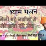 मिली बड़े नसीबो से मेरे बाबा की सेवा लिरिक्स