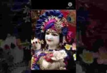 मेरे मन बस गयो रे सांवरिया गिरधारी लिरिक्स मेरे मन बस गयो रे सांवरिया गिरधारी लिरिक्स