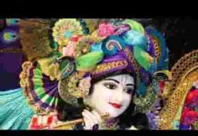 मोरी पीर हरो तुम बिन कौन हमारो भजन लिरिक्स