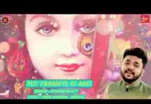 रुत फागणिये की आई की मेलो थारो खूब भरसी सांवरिया लिरिक्स रुत फागणिये की आई की मेलो थारो खूब भरसी सांवरिया लिरिक्स