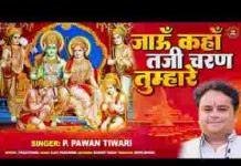जाऊं कहाँ तजि चरण तुम्हारे भजन लिरिक्स