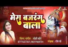 अरे रे मेरा बजरंग बाला सभी का है रखवाला लिरिक्स