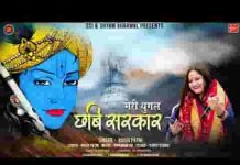 मेरी युगल छवि सरकार हाथों में मुरली धार लिरिक्स