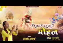 मेरे मन में बस गयी है मोहन छवि तुम्हारी लिरिक्स