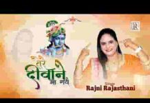 सांवरे प्यारे दर पे तुम्हारे तेरे दीवाने आ गए भजन लिरिक्स