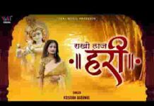 तुम मोरी राखो लाज हरि भजन लिरिक्स