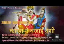 कान्हा ने बजाई बंशी होठों से लगाई बंशी लिरिक्स कान्हा ने बजाई बंशी होठों से लगाई बंशी लिरिक्स