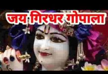 जय गिरधर गोपाला मेरा जय गिरधर गोपाला जय गिरधर गोपाला मेरा जय गिरधर गोपाला