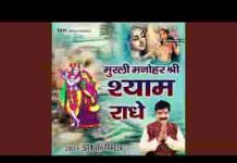तेरे चरणन पे बलिहारी मैं जाऊं मेरे बांके बिहारी लिरिक्स