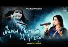 श्याम मेरा दिल ना लगे भजन लिरिक्स