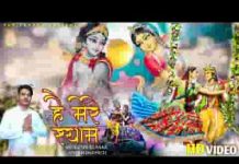 ऐ मेरे श्याम इनायत कर दे भजन लिरिक्स ऐ मेरे श्याम इनायत कर दे भजन लिरिक्स