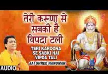 तेरी करुणा से सबकी है विपदा टली भजन लिरिक्स
