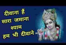 दीवाना है सारा जमाना श्याम हम भी दीवाने लिरिक्स